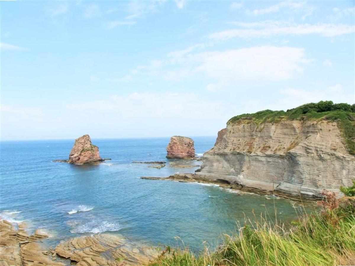 Appartement A 200 M De La Plage Avec Terrasse Et Parking, Au Coeur Des Commerces Et Restaurants - Fr-1-2-426 アンダイエ エクステリア 写真